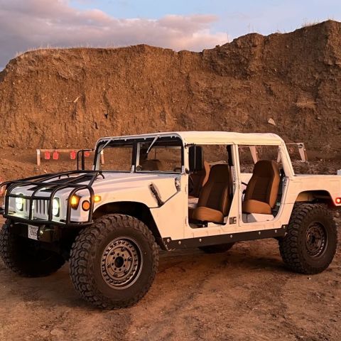 Looking for local Moon Goons