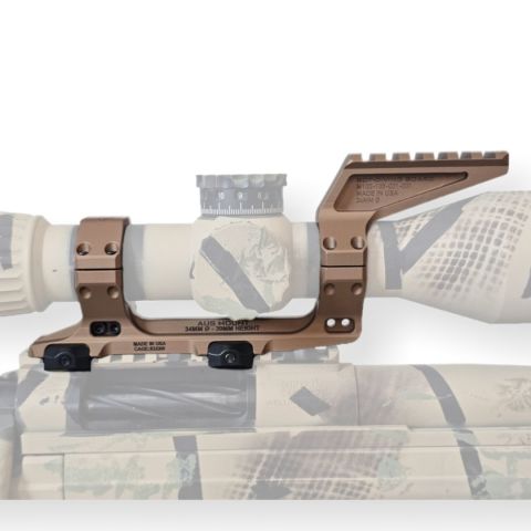 Reptilia AUS+Diving Board