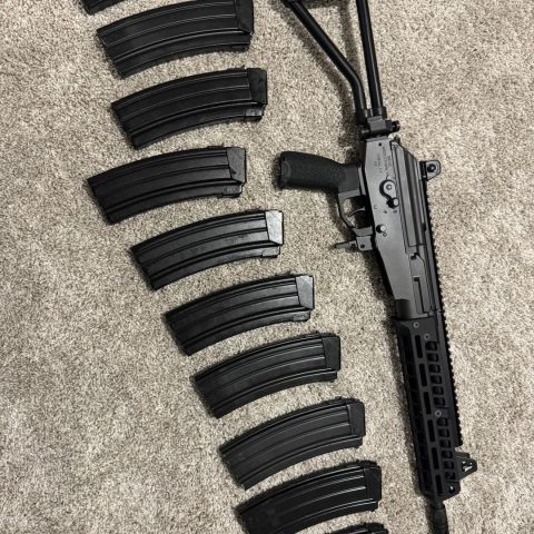 Galil Ace 22 Dissident 5.56