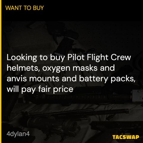 WTB USA AMERICAN - PILOT FLIGHT HELMETS 