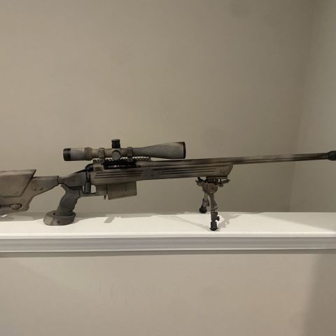 Savage Arms 110 BA 300 WM