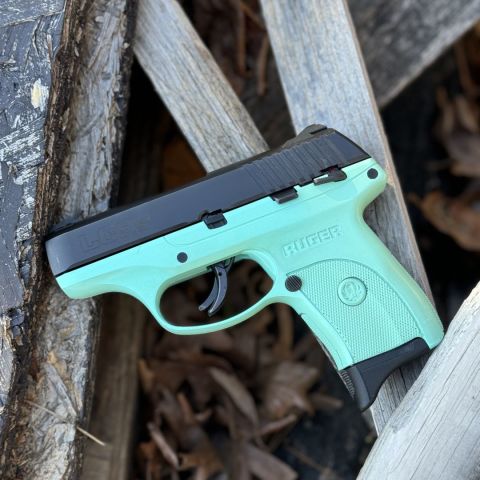 Tiffany Blue Ruger LC9S