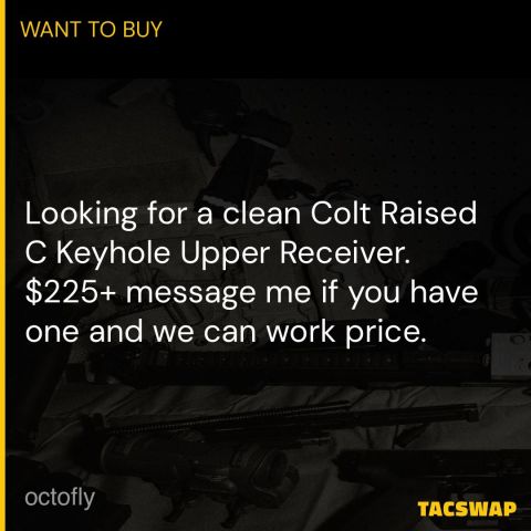 WTB Colt Raised C Keyhole 