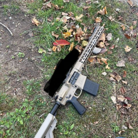 Aero/rainier arms ar 10