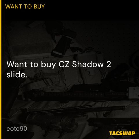 WTB CZ Shadow 2 Slide