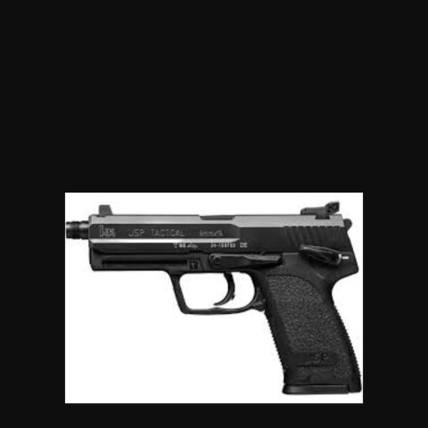 Looking forHk usp tactical 9mm