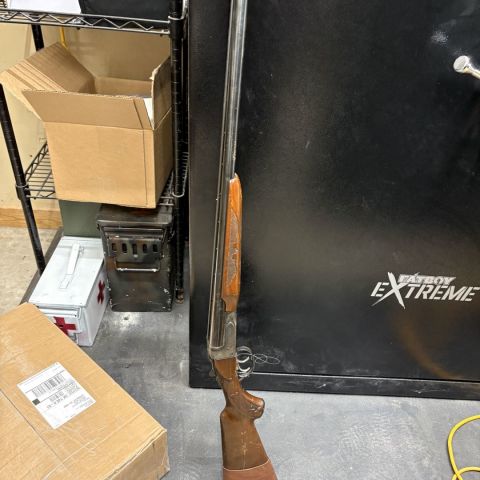 Savage Fox Model B 12ga