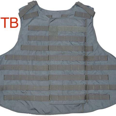 WTB Grey Afghan Interceptor 