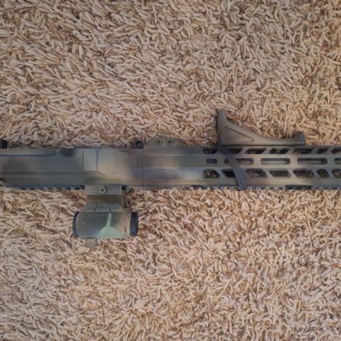 bore buddy .22lr upper