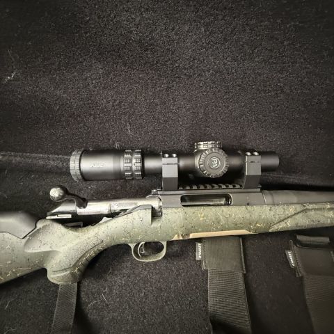 Ruger gen 1 .556 