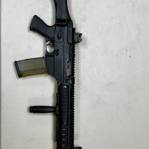 sig 556 swat
