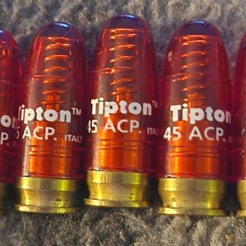 .45acp Snap caps.