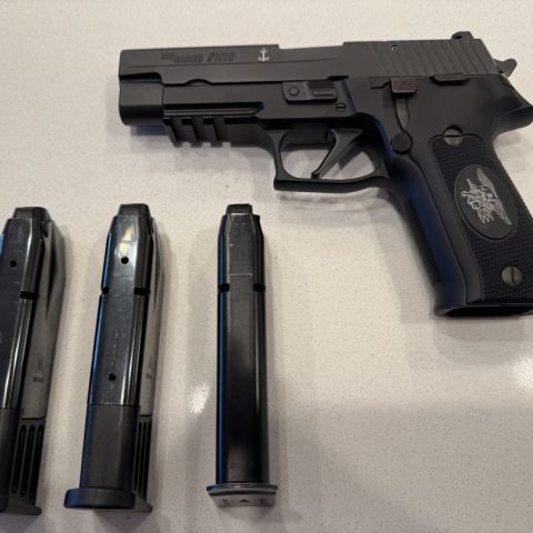 Custom Sig Sauer P226