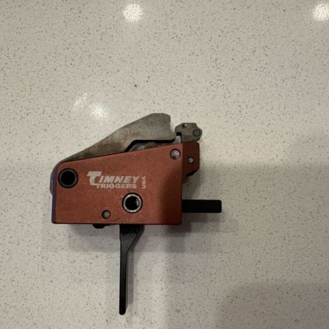 Timeny Daniel Horner AR trigge