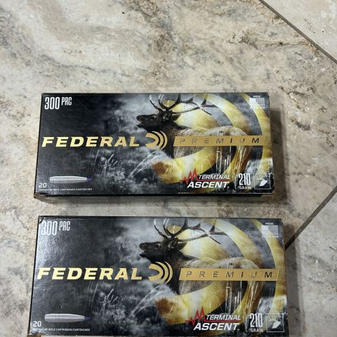 Federal Terminal Ascent 300prc