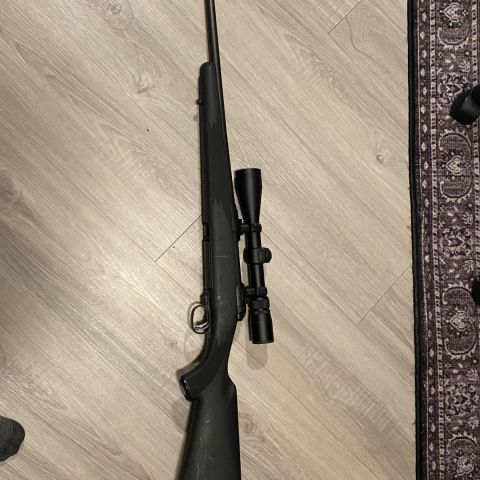 Savage model 11 .308