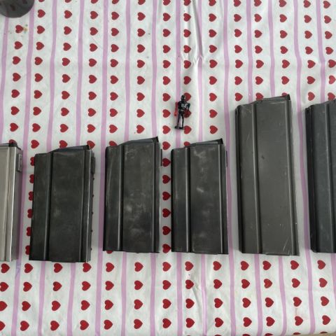M14/M1a mags. 