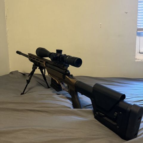 Savage Stealth Evolution 308 