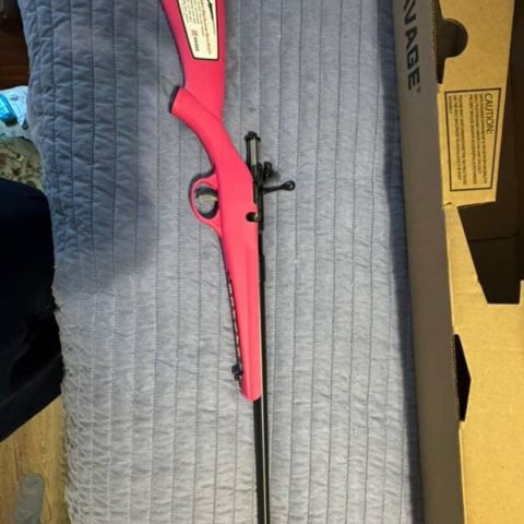 Long guns,.22, 20ga, .410pump