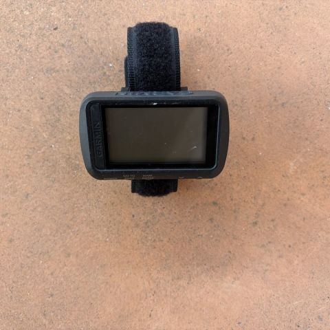 Garmin Foretrex 601