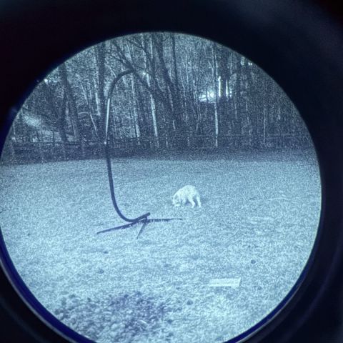 Photonis WP High Gain 