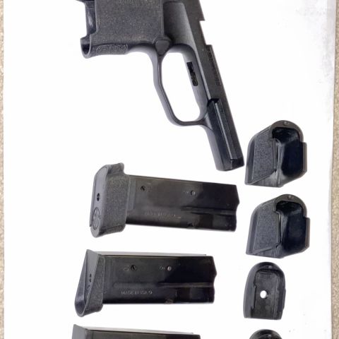 P365 Grip and Mags