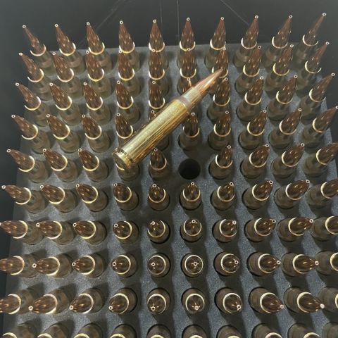 EAGLE EYE 175gr OTM .308