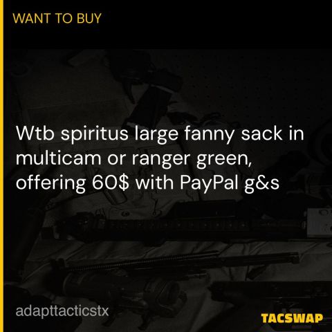 Wtb spiritus large fanny sack