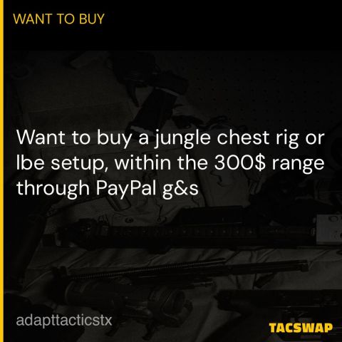 Wtb jungle chest rig or lbe 
