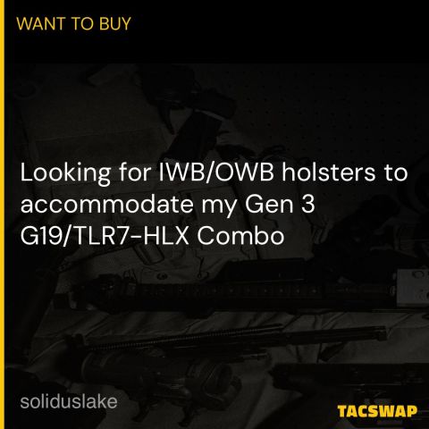 WTB: G19/TLR7-HLX holster