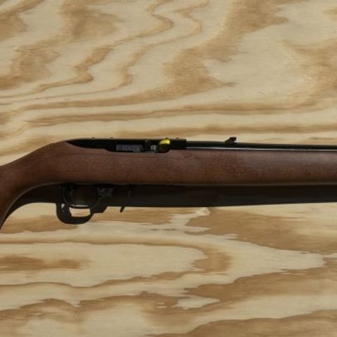 Ruger 10/22 Carbine