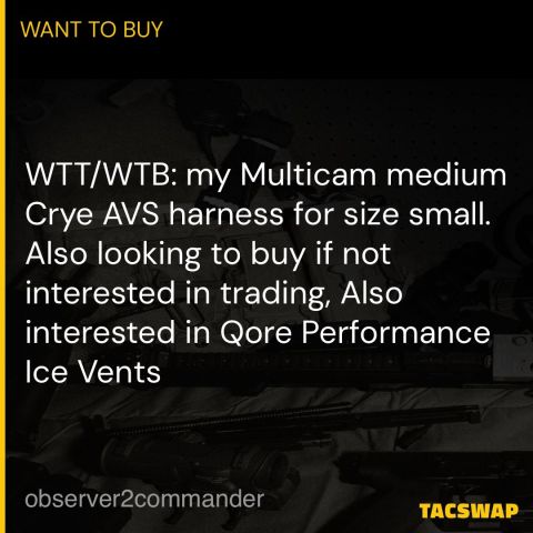 WTB/WTT Crye AVS Harness small