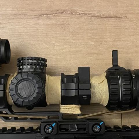 Swampfox 1-6 and 2moa RDS