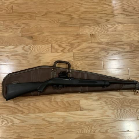 Ruger 10/22