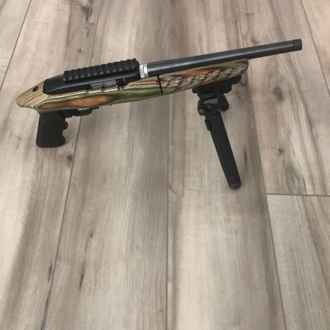 Ruger Charger Takedown