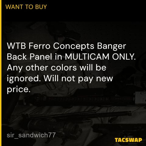 WTB FERRO BANGER BACK PANEL