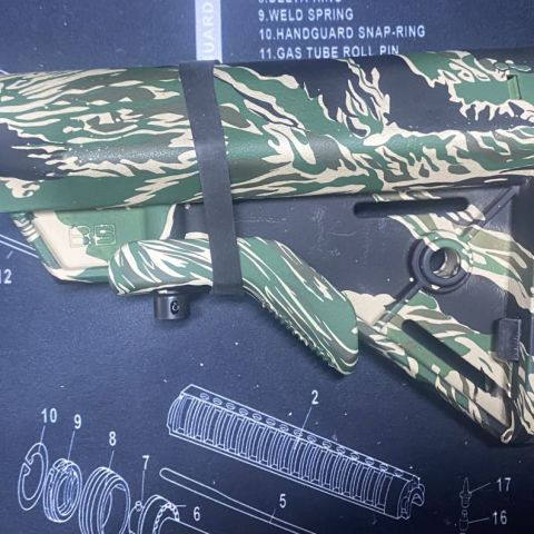 B5 bravo tiger stripe