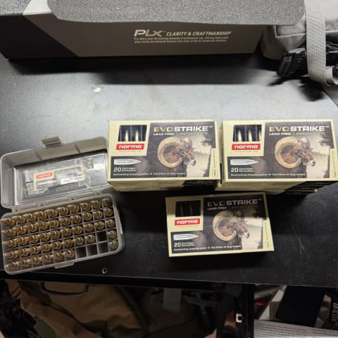 Norma Evo Strike .308