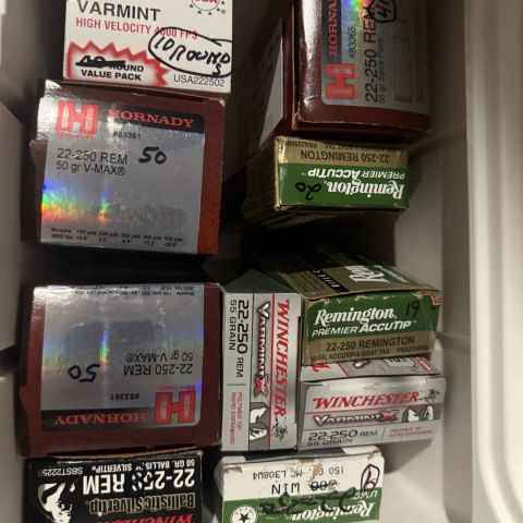 .22-250 ammo, 260 rounds total