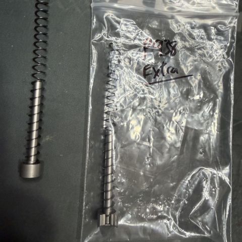 2 Sig P938 Guiderod and Spring