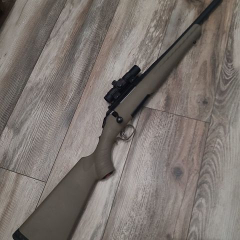 Ruger Ranch .300 Blk 16"