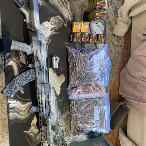 DPMS Anvil combo w/ 1000rds