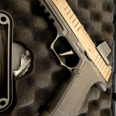 Sig Ported Fuse Icarus AXG