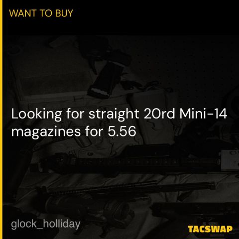WTB Straight 25rd Mini-14 Mag