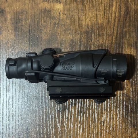 Ta31 acog