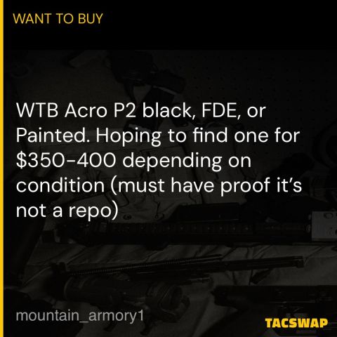 WTB Acro P2.