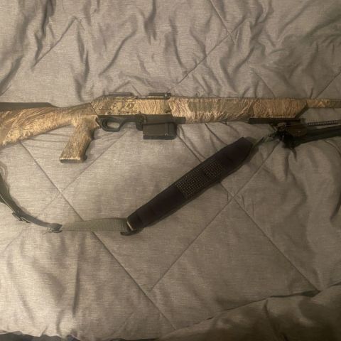 Winchester SX AR