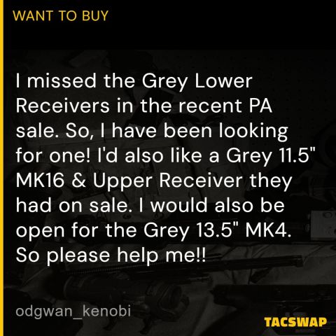 Geissele Grey Lower Receiver