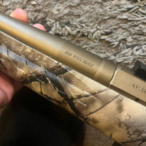 Ruger American 300 win mag