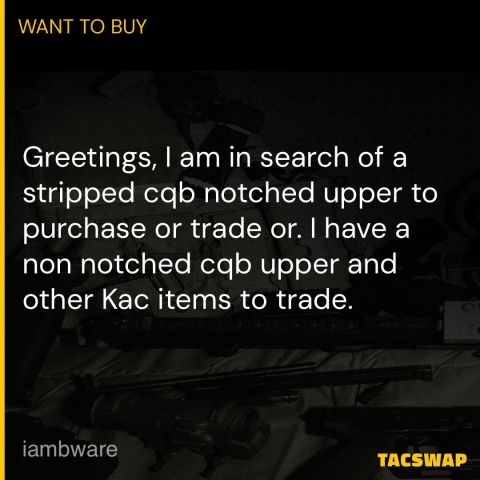 WTB KAC CQB notched upper